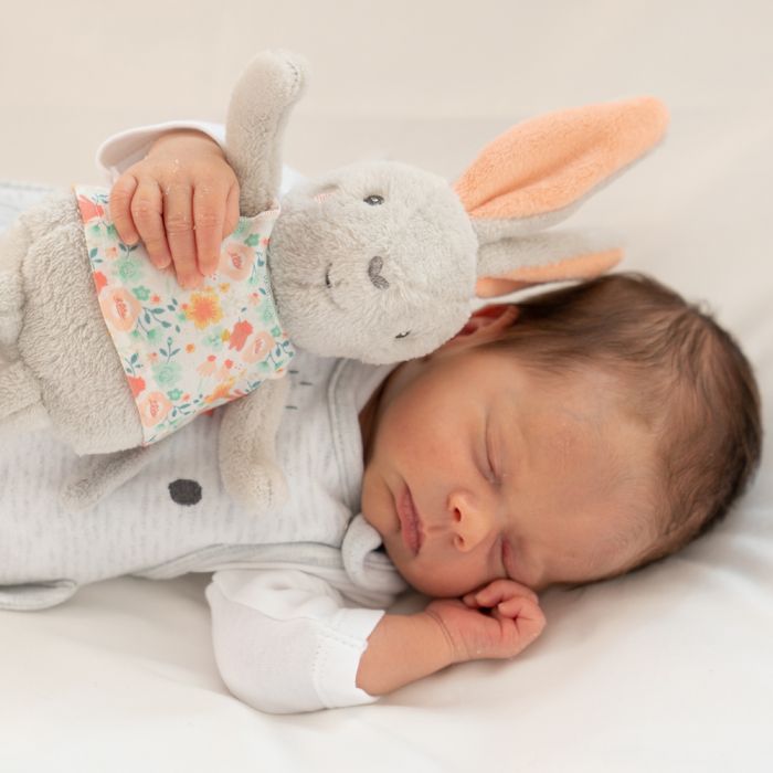 Musical Rabbit Soft Toy - Baby Toy with Removable Wind-Up Chime & Swan Lake Melody - Washable & Portable - Image 2